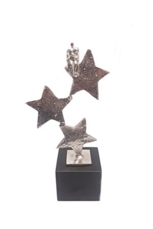 Asgeschenk onder de sterrenhemel